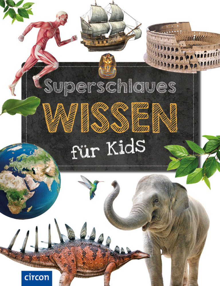 Superschlaues Wissen für Kids (Heidi Dr. Schooltink)