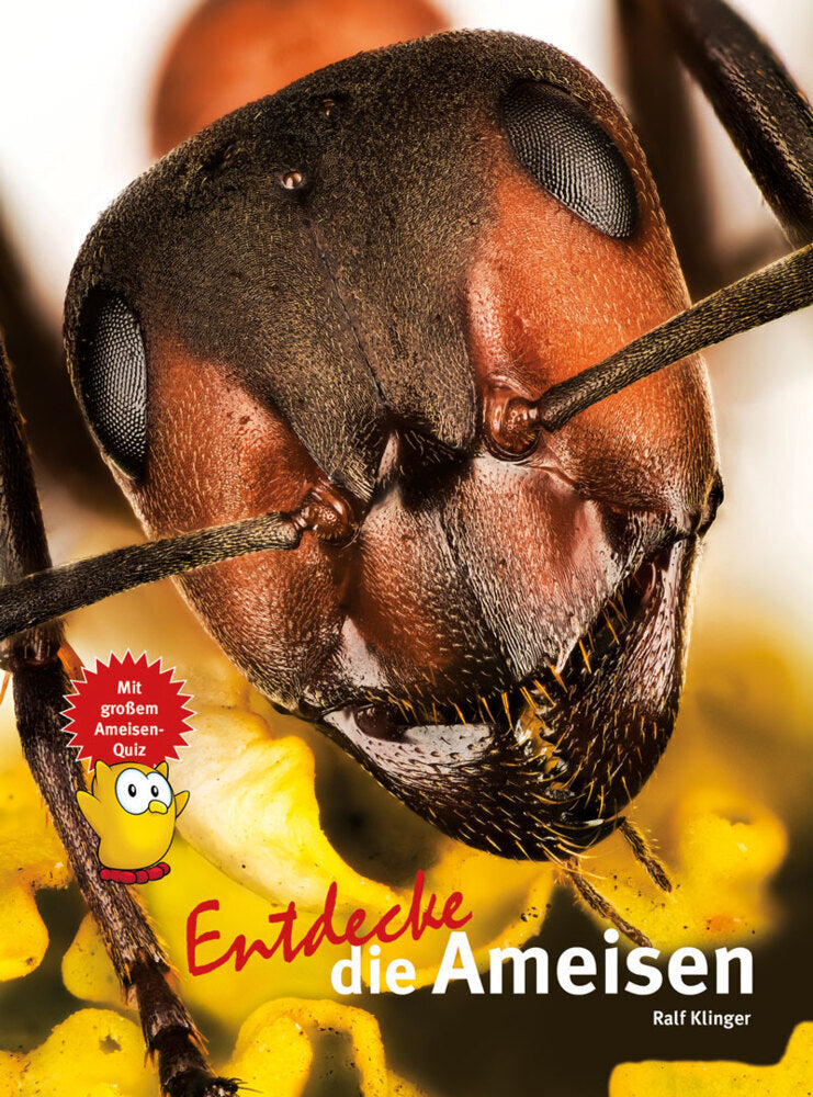 Entdecke die Ameisen (Ralf Klinger)