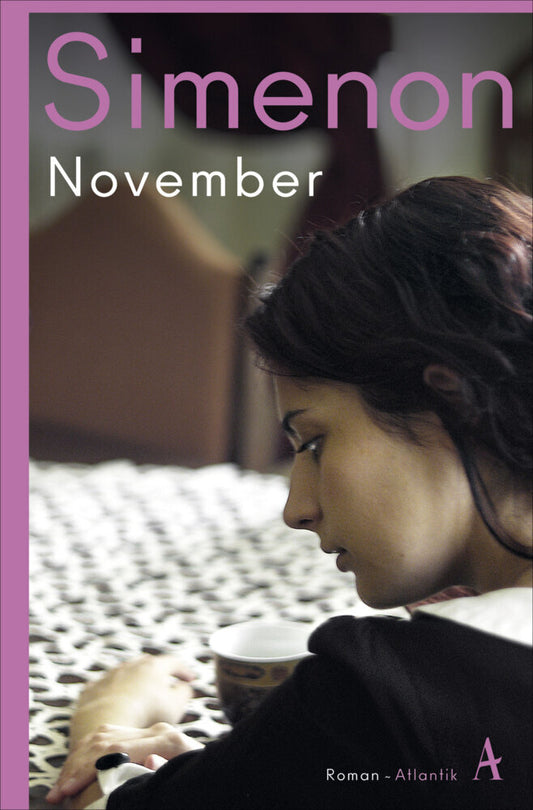 November (Georges Simenon)