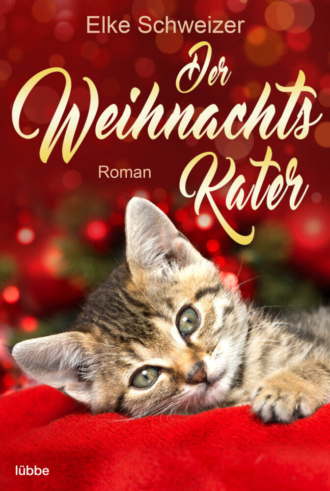 Der Weihnachtskater (Elke Schweizer)