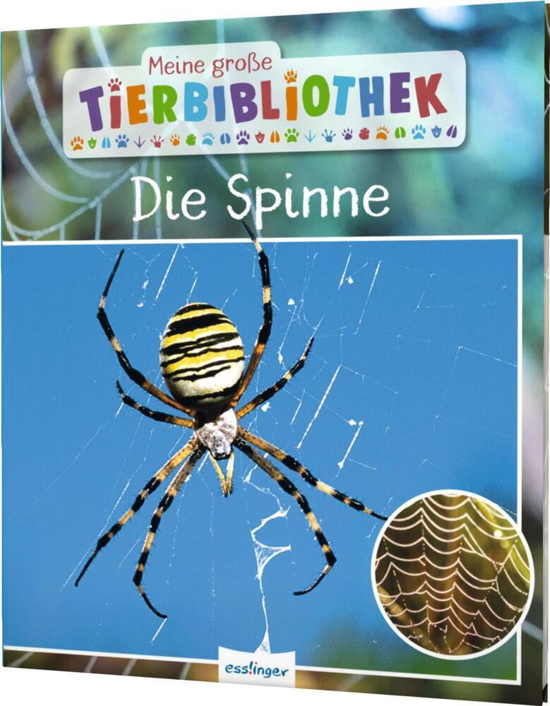 Meine große Tierbibliothek: Die Spinne (Jens Poschadel)