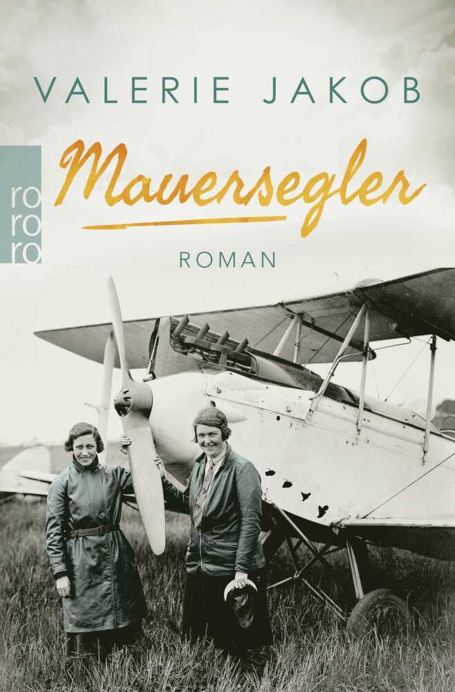 Mauersegler (Valerie Jakob)