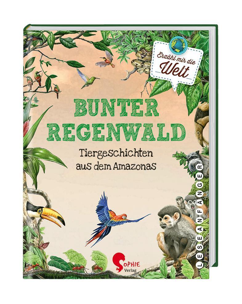 Bunter Regenwald (Jana Ullke)