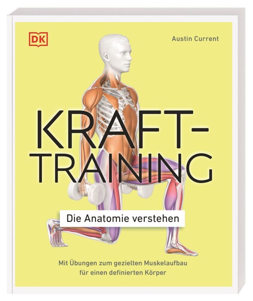 Krafttraining - Die Anatomie verstehen (Austin Current)