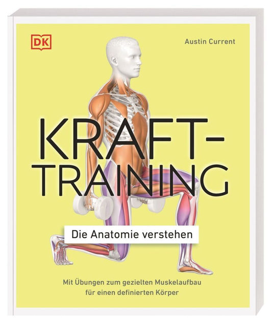 Krafttraining - Die Anatomie verstehen (Austin Current)