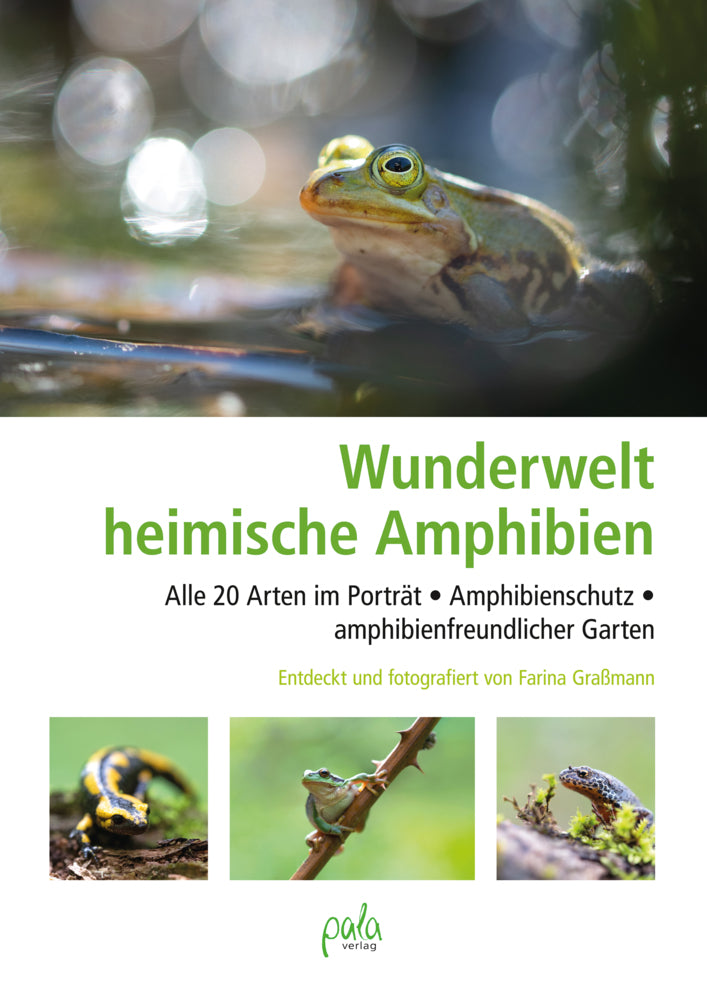 Wunderwelt heimische Amphibien (Farina Graßmann)