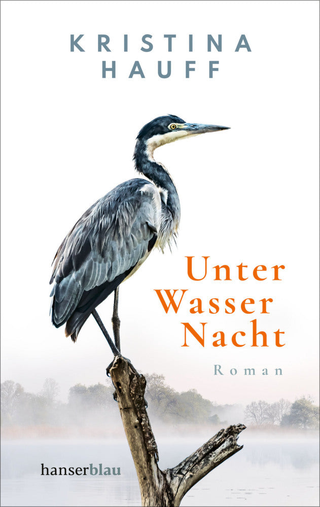 Unter Wasser Nacht (Kristina Hauff)