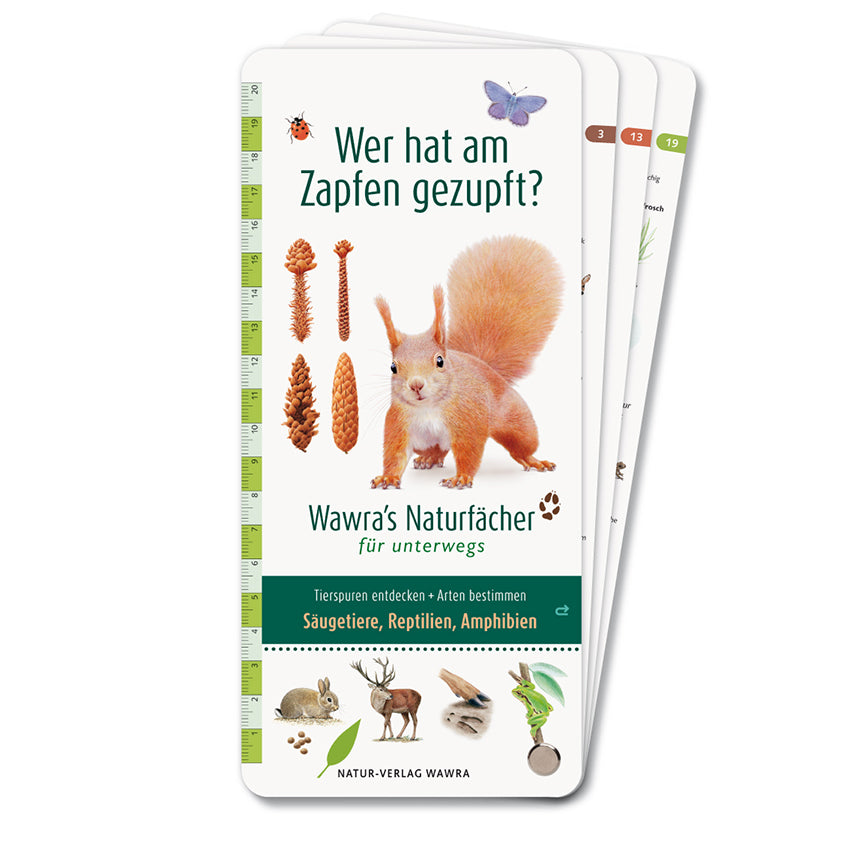 Wer hat am Zapfen gezupft? - Wawra's Naturfächer für unterwegs (Ursula Wawra)