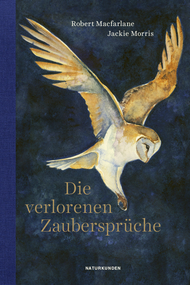 Die verlorenen Zaubersprüche (Robert Macfarlane)
