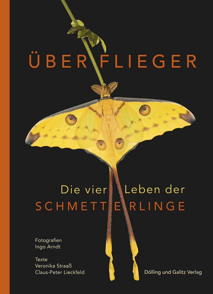 Überflieger. Die vier Leben der Schmetterlinge (Veronika Straaß)