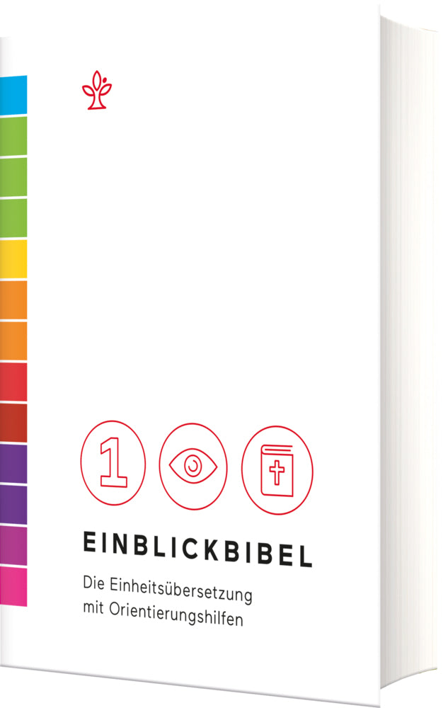 Einblickbibel (Elisabeth Birnbaum)