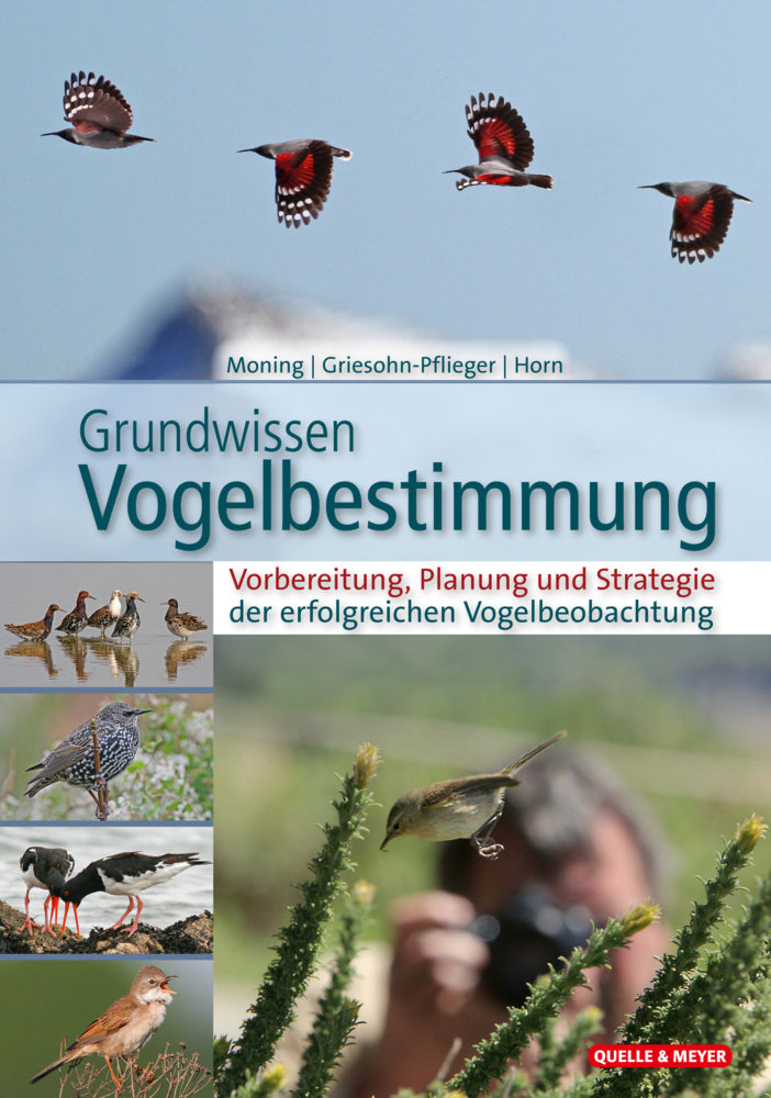 Grundwissen Vogelbestimmung (Christoph Moning)