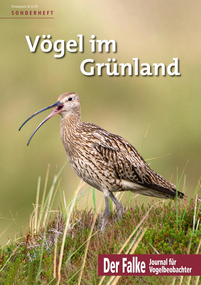 Vögel im Grünland (Redaktion Der Falke)