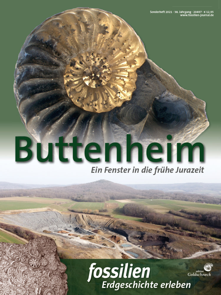 Buttenheim (Redaktion Fossilien)