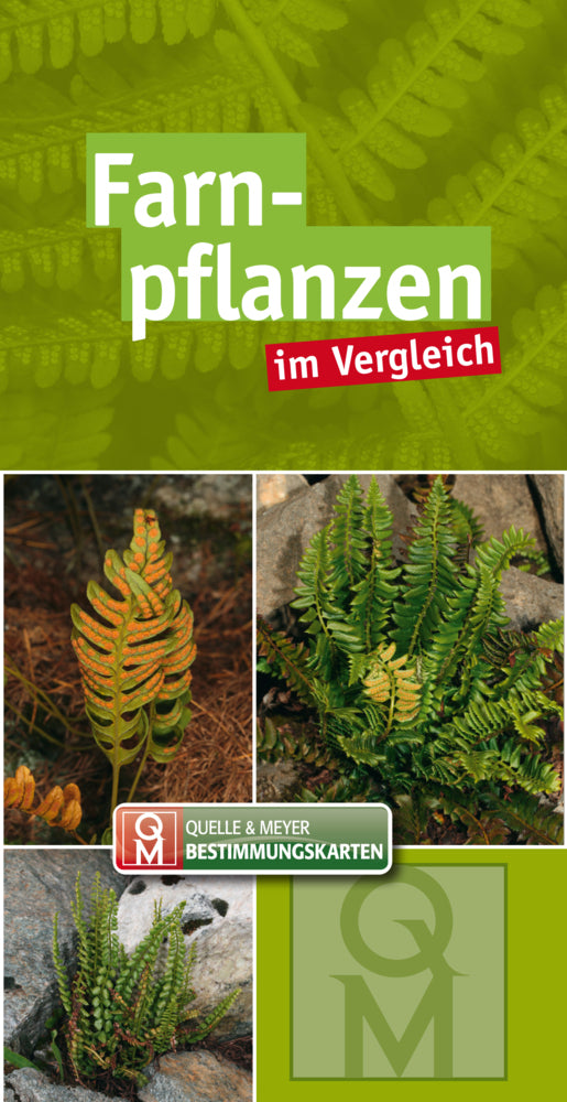 Farnpflanzen (Quelle & Meyer Verlag)