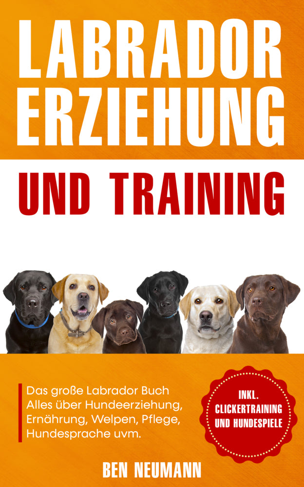 Labrador Erziehung und Training: Das große Labrador Buch (Ben Neumann)