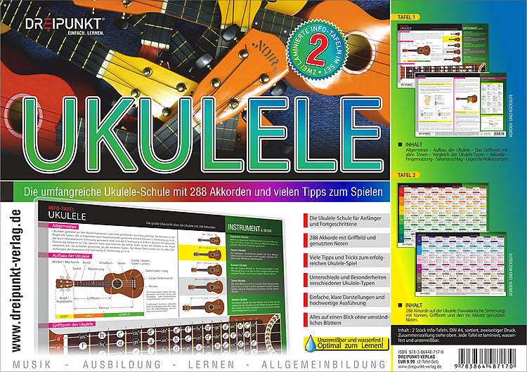 Info-Tafel-Set Ukulele (Schulze Media Gmbh)