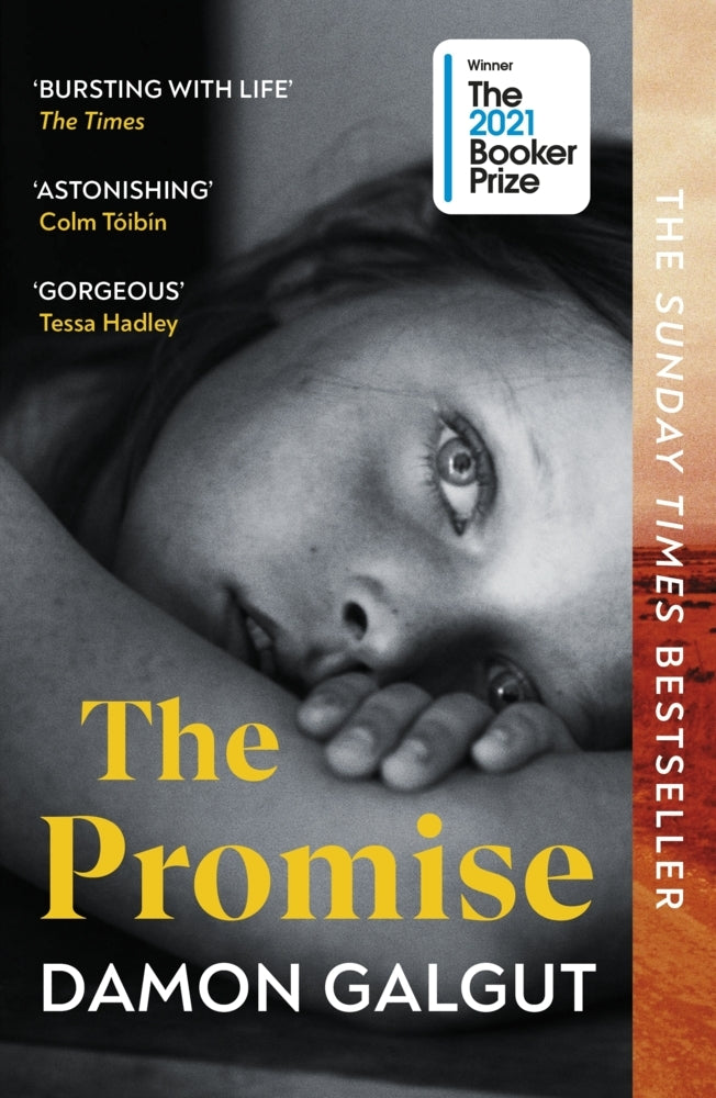The Promise (Damon Galgut)