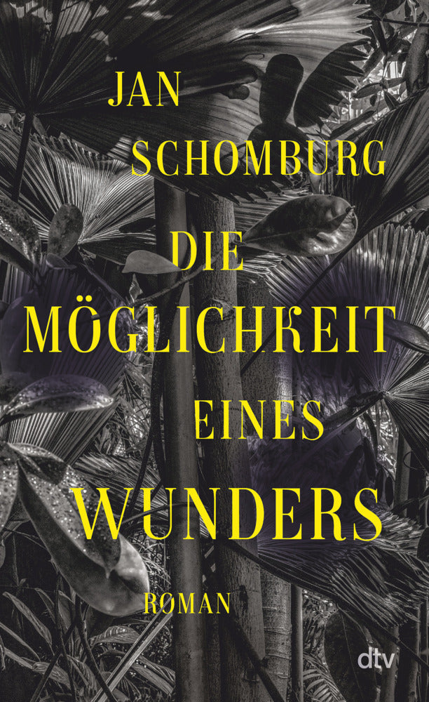 Die Möglichkeit eines Wunders (Jan Schomburg)