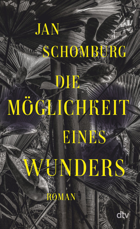 Die Möglichkeit eines Wunders (Jan Schomburg)
