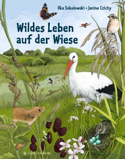 Wildes Leben auf der Wiese (Ilka Sokolowski)