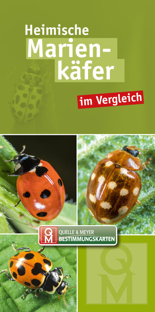 Heimische Marienkäfer (Quelle & Meyer Verlag)