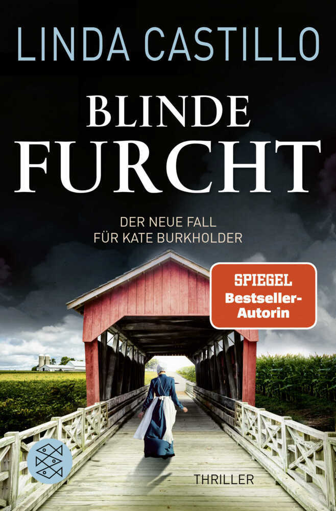 Blinde Furcht (Linda Castillo)