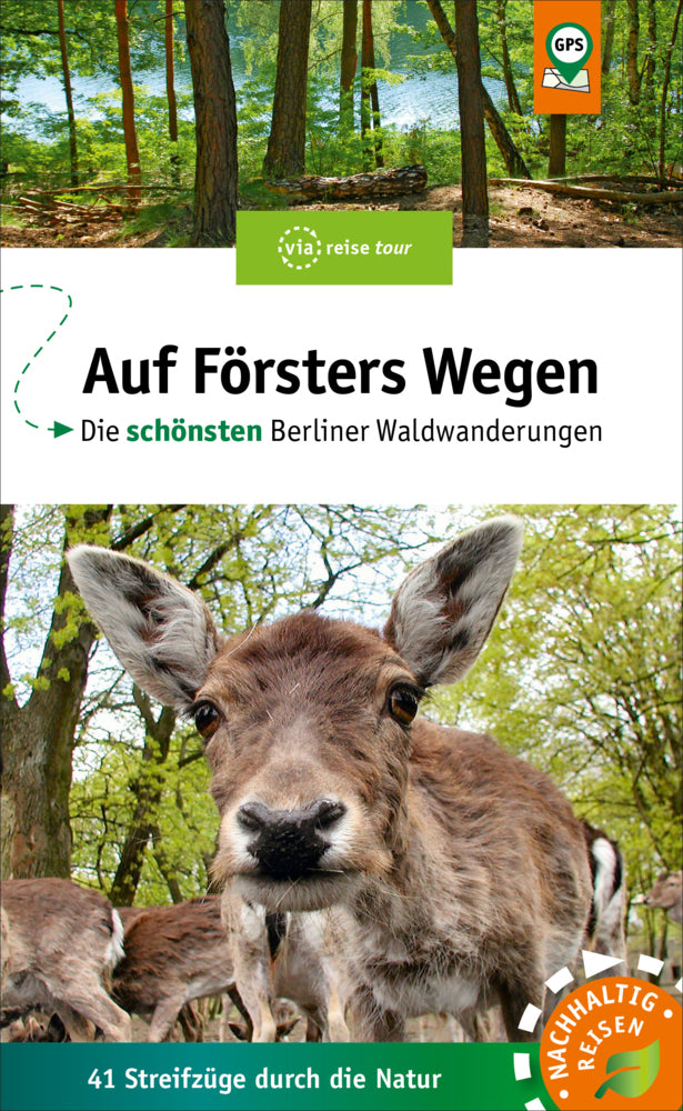 Auf Försters Wegen (Thorsten Wiehle)