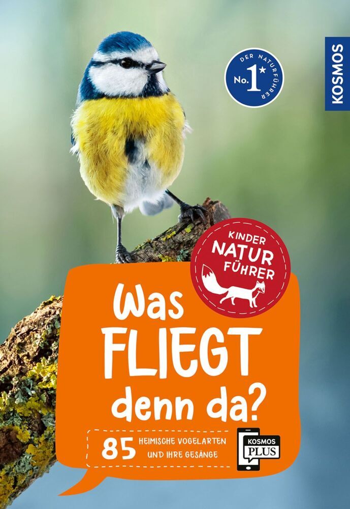 Was fliegt denn da? Kindernaturführer (Holger Haag)