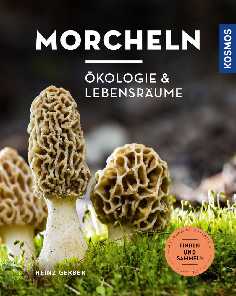 Morcheln (Heinz Gerber)