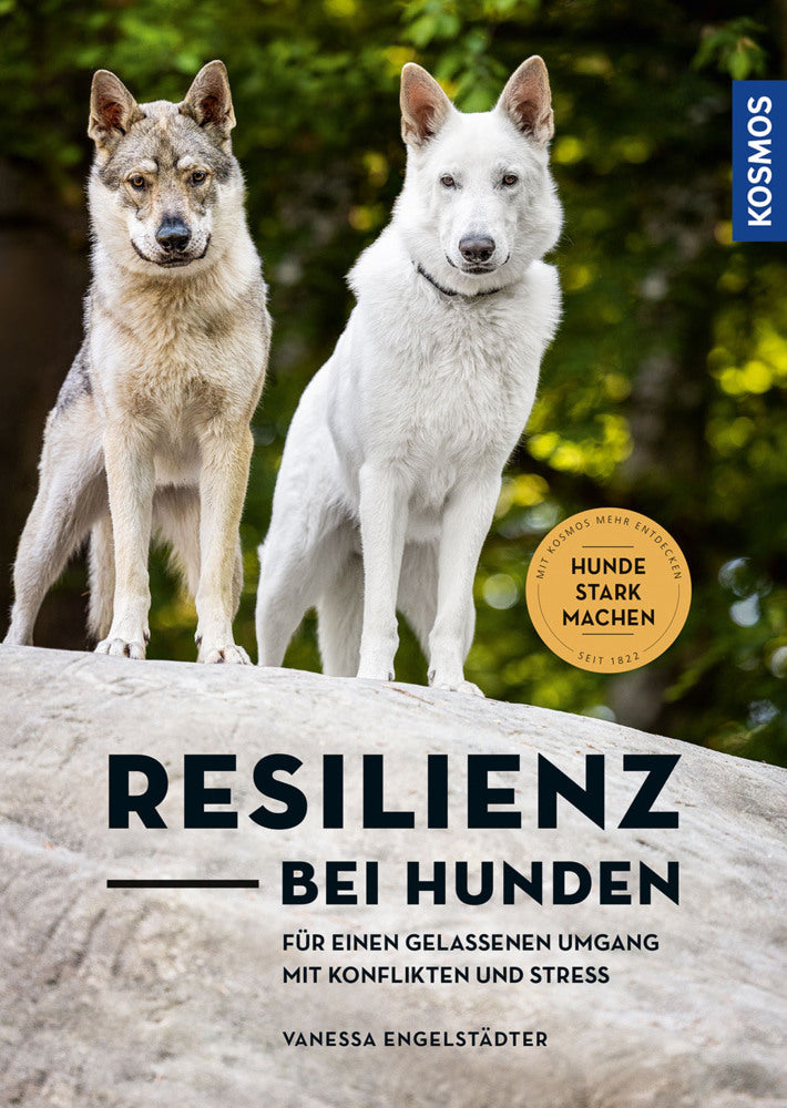 Resilienz bei Hunden (Vanessa Engelstädter)