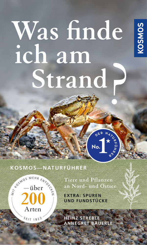 Was finde ich am Strand? (Heinz Streble)