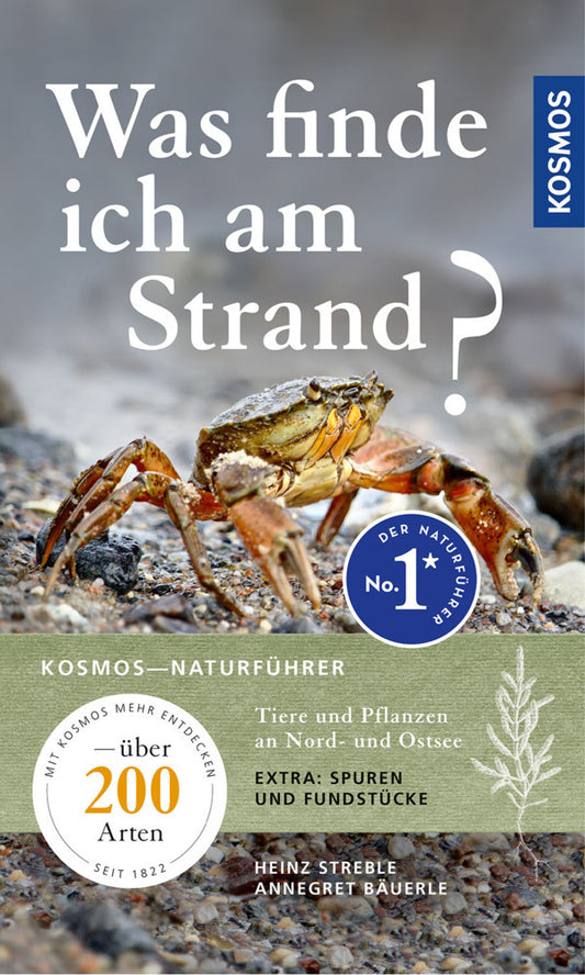 Was finde ich am Strand? (Heinz Streble)