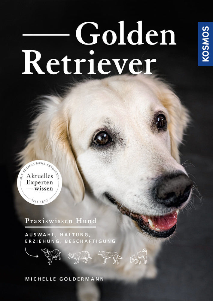 Golden Retriever (Michelle Goldermann)