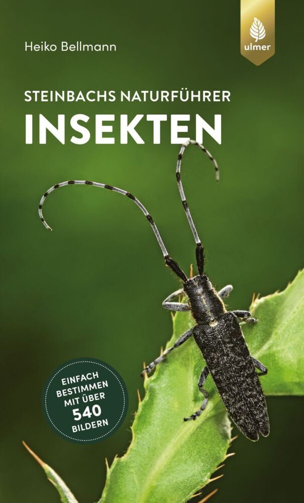 Steinbachs Naturführer Insekten (Heiko Bellmann)