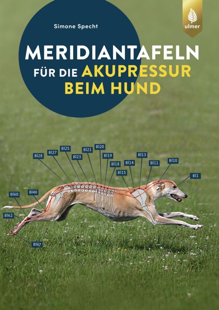 Meridiantafeln für die Akupressur beim Hund (Simone Specht)