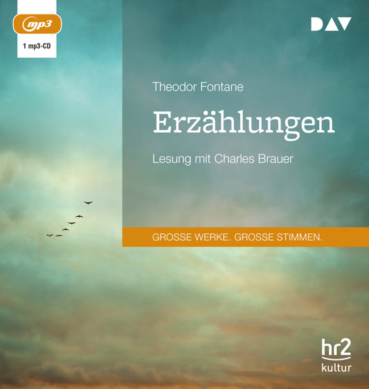 Erzählungen, 1 Audio-CD, 1 MP3 (Theodor Fontane)