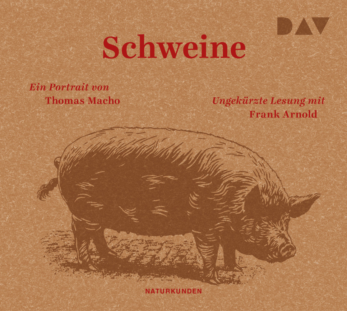 Schweine. Ein Portrait, 3 Audio-CD (Thomas Macho)