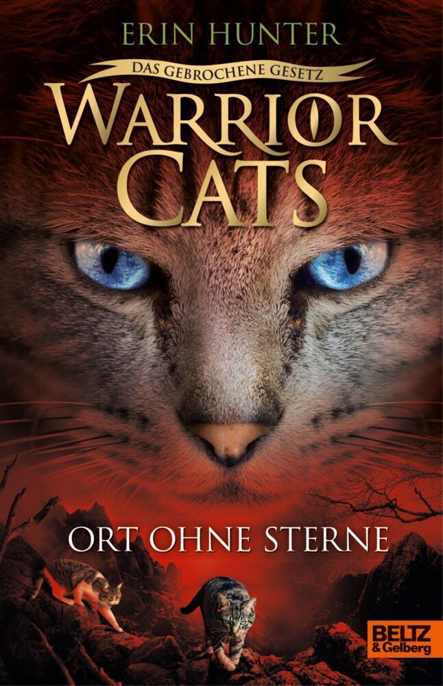 Warrior Cats - Das gebrochene Gesetz. Ort ohne Sterne (Erin Hunter)