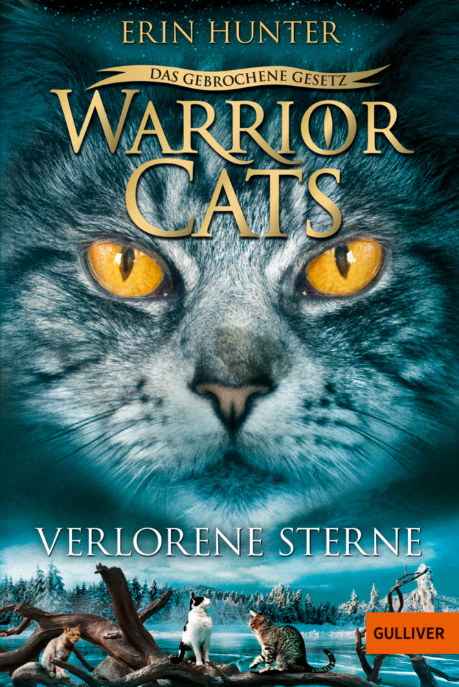 Warrior Cats - Das gebrochene Gesetz. Verlorene Sterne (Erin Hunter)