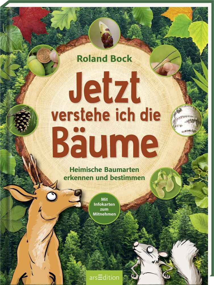 Jetzt verstehe ich die Bäume (Roland Bock)