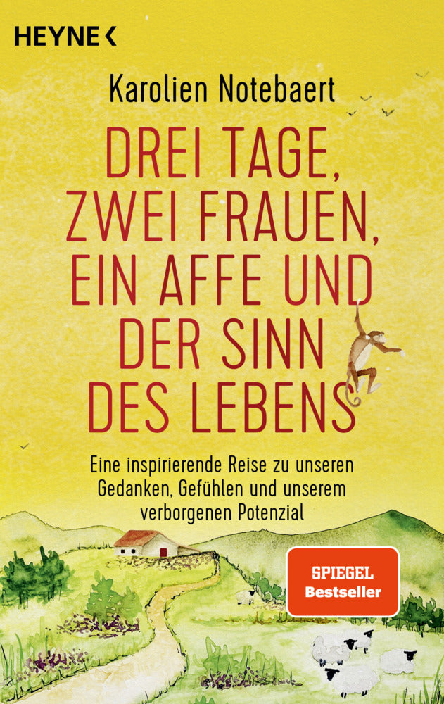 Drei Tage, zwei Frauen, ein Affe und der Sinn des Lebens (Karolien Notebaert)