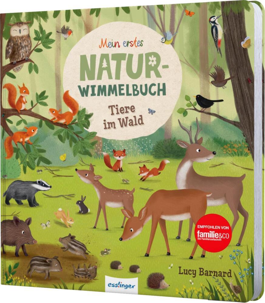 Mein erstes Natur-Wimmelbuch: Tiere im Wald (Sibylle Schumann)