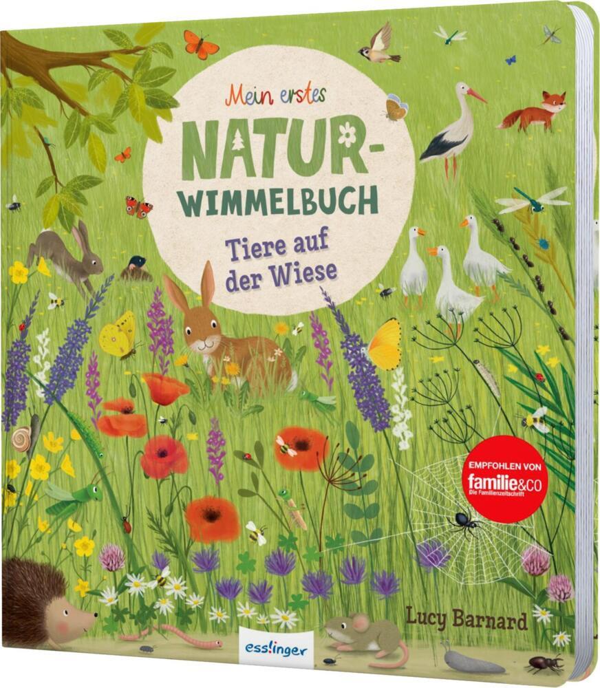Mein erstes Natur-Wimmelbuch: Tiere auf der Wiese (Katharina Lotz)