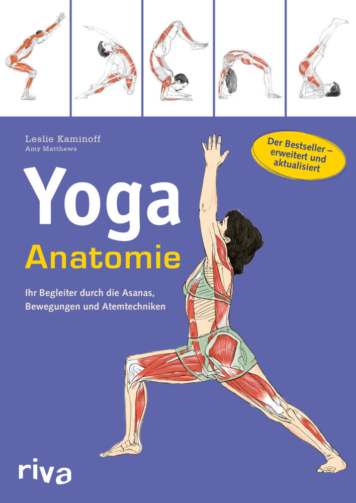 Yoga-Anatomie (Leslie Kaminoff)