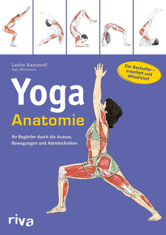 Yoga-Anatomie (Leslie Kaminoff)