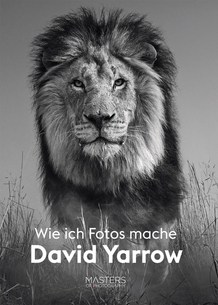 David Yarrow: Wie ich Fotos mache (David Yarrow)