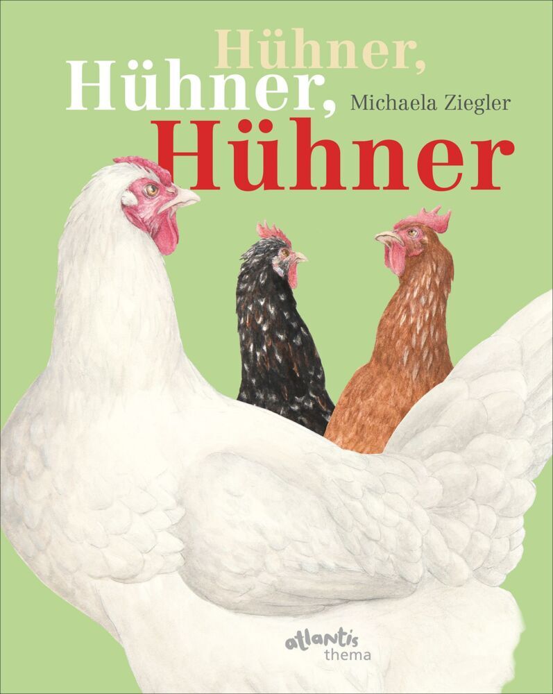 Hühner, Hühner, Hühner (Michaela Ziegler)