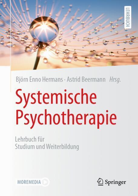 Systemische Psychotherapie (Björn Enno Hermans)