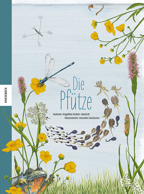 Die Pfütze (Angelika Huber-Janisch)
